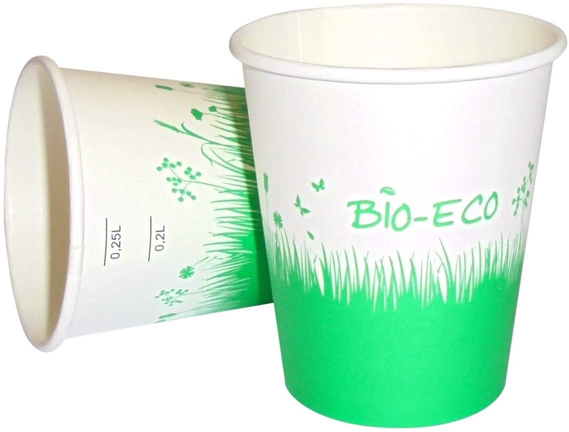 biodegradabili al 100% e compostabili 25 pezzi Greenbox usa e getta 250 ml Bicchieri da caffè in cartone a doppia parete 